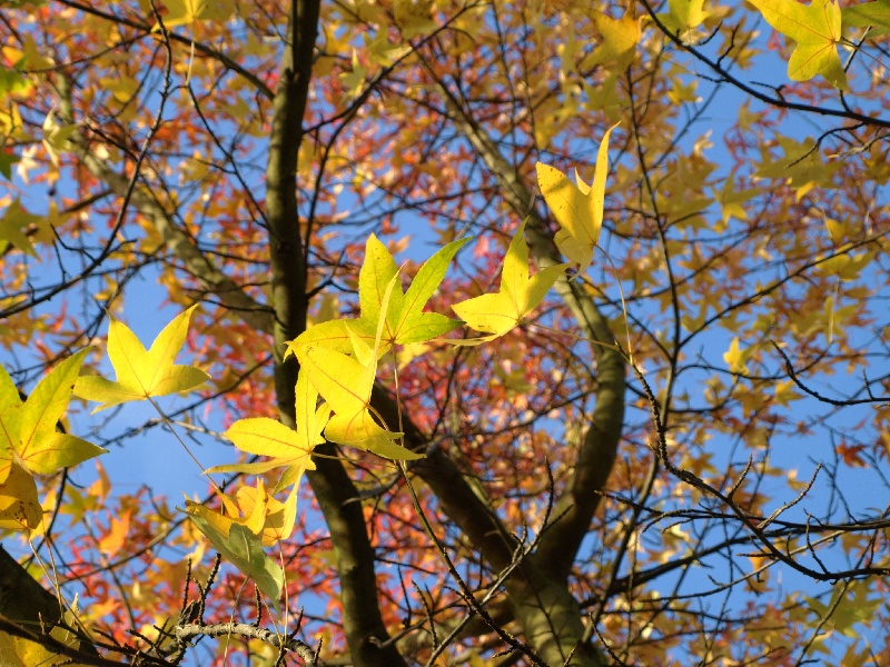 12-von-12-november011