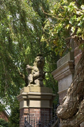 P5231231